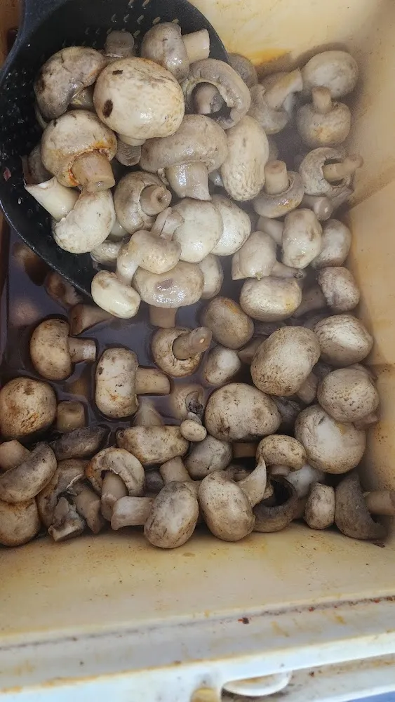 Mushrooms Scoop